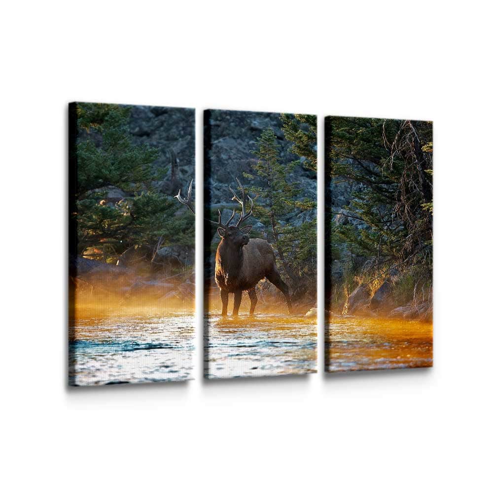 Elk By The Water Wall Art – Canvas Freaks