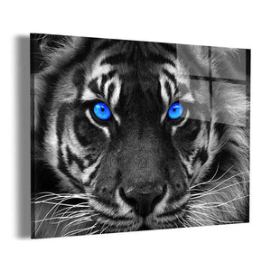 Blue Eyed Tiger Wall Art
