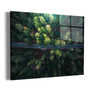 Driving Amongst the Giants Wall Art