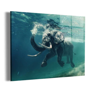 Elephant Swimming Wall Art