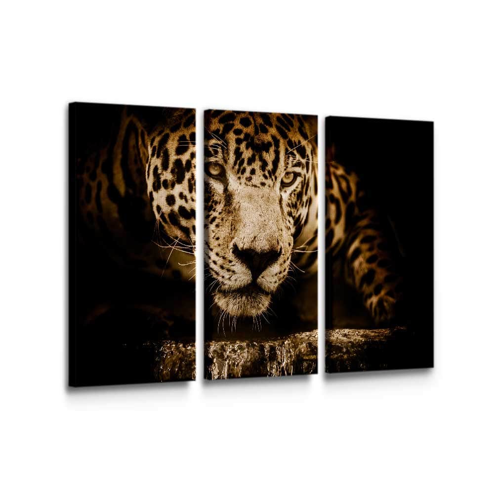 Jaguar Wall Art – Canvas Freaks