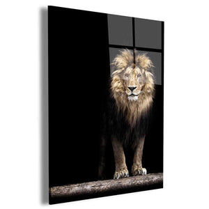 Majestic Lion Wall Art