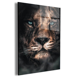 Merged Lion Wall Art