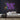 This Must Be The Place Neon Sign — Multicolor neon (room)