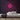 Smile Neon Sign — Pink neon (room)