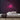 Mr Neon Sign — Pink neon (room)
