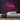 Husky Neon Sign — Pink neon (room)