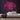 Positive Vibes Only Neon Sign — Pink neon (room)