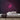 I Neon Sign — Pink neon (room)