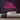 Santa Stop Here Neon Sign — Pink neon (room)