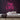 High Life Neon Sign — Pink neon (room)