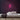 Juice Neon Sign — Pink neon (room)