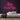 Jesus Loves You Neon Sign — Pink neon (room)