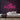 At Home Neon Sign — Pink neon (room)