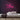 Fun Neon Sign — Pink neon (room)