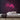 Pretty Neon Sign — Pink neon (room)