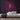 Nail Salon Neon Sign — Pink neon (room)