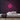 Smiley Neon Sign — Pink neon (room)