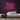 This Must Be The Place Neon Sign — Pink neon (room)