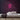 Shopping Neon Sign — Pink neon (room)