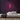 Nail Bar Neon Sign — Pink neon (room)
