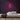 Engaged Neon Sign — Pink neon (room)