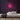 Disco Neon Sign — Pink neon (room)