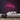 Merry Neon Sign — Pink neon (room)