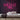 Hello There Neon Sign — Pink neon (room)