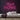 Stay At Home Neon Sign — Pink neon (room)