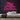 There's No Place Like Home Neon Sign — Pink neon (room)
