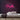 Poodle Neon Sign — Pink neon (room)