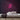 Jazz Neon Sign — Pink neon (room)