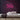 50s Neon Sign — Pink neon (room)