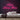 Love Lives Here Neon Sign — Pink neon (room)
