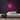 Vinyl Neon Sign — Pink neon (room)