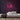LA Neon Sign — Pink neon (room)
