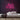 It's A Vibe Neon Sign — Pink neon (room)