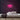 Sushi Neon Sign — Pink neon (room)