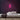 Rabbit Neon Sign — Pink neon (room)