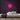 Globe Neon Sign — Pink neon (room)