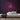 Pool Table Neon Sign — Pink neon (room)