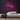 Corgi Neon Sign — Pink neon (room)