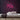 70s Neon Sign — Pink neon (room)