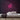 Pho Neon Sign — Pink neon (room)