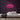 Hotdog Neon Sign — Pink neon (room)