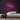Sleep Neon Sign — Pink neon (room)