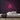 Hair Salon Neon Sign — Pink neon (room)
