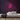 Band Neon Sign — Pink neon (room)