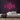I Love You Neon Sign — Pink neon (room)